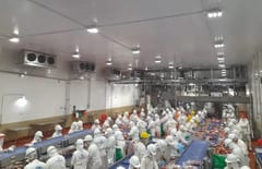 Proponen que frigoríficos de la Franja Costera no sean mataderos