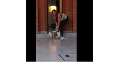 Negligencia fatal causa la muerte de un perrito en Asunción