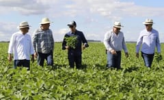 Paraguay en el Top 3 de crecimiento según Cepal: ¿Qué factores lo impulsan?