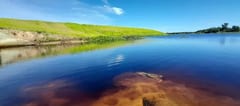 Arroyo Ñeembucú está contaminado con Escherichia coli