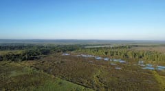 Arroyos y Esteros: agricultores se oponen a la construcción de vertedero en la compañía Mainumby