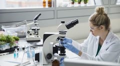 “Hambre cero” pone en riesgo investigación científica