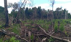 Operativo antidrogas exitoso en Reserva del Mbaracayú