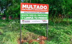 San Antonio combate dengue con multas a propietarios