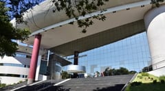 Profesores alertan sobre autoritarismo tras caso Kattya González