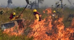 Llamado a la conciencia ante incendios en Paraguarí