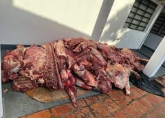 Más de dos toneladas de carne presuntamente de contrabando son incautadas en Remansito