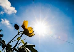 Pronóstico del Tiempo: caluroso y lluvias dispersas para la semana