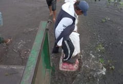 Inundaciones en Ñeembucú afectan a más de 2.000 familias