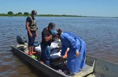 Evacuación de pacientes en Alto Paraguay es una odisea por falta de recursos