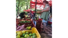Feria agroecológica y artesanal combina solidaridad y sabores