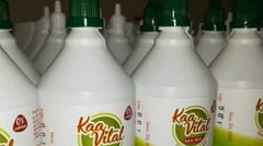 Alerta sanitaria: INAN amplía retiro de edulcorante Ka’a Vital por contaminación con hongos