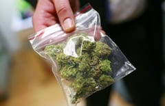 Senado debate aumento de límites de portación de marihuana