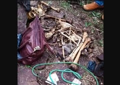 Hallan restos óseos en Cerro Ñua’í de Acahay: Presumen serían de hombre desaparecido