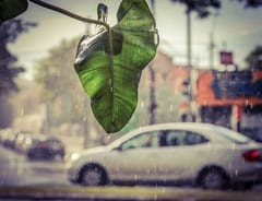 Pronostican tiempo inestable con lluvias y tormentas para los próximos días