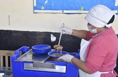 Investigación a licitación de “Hambre Cero” por irregularidades