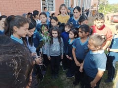 ¡Villarrica se viste de verde! 5.000 árboles para reforestar