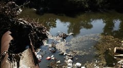 Tablada Nueva denuncia contaminación en Día Mundial del Ambiente