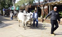 ARP y UIP se separan para la organización de la Expo, pero aseguran su continuidad