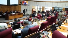 Senado sanciona ley contra robo de energía, pero excluye a funcionarios públicos