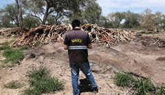 Mades anula documentos extraviados tras detectar permisos falsos