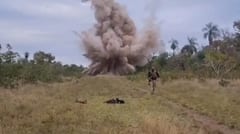 Desmantelan pistas clandestinas en Parque Nacional Paso Bravo