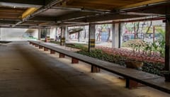 Inicia novenario por víctimas de tragedia Ycuá Bolaños