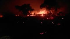 Bomberos se movilizan ante ola de incendios forestales
