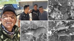 Escándalo en el Chaco: policías ligados a caza furtiva