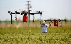 Ingenieros agrónomos celebran su día con múltiples actividades
