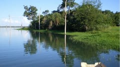 Imputan a dos hombres por cazar animales en peligro de extinción