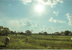 Miércoles caluroso con vientos del norte y lluvias en el sur
