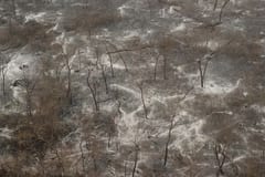 Devastador incendio en el Chaco deja 180.000 hectáreas calcinadas