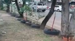 Vecina de Luque embellece paseo central, pero Comuna ordena retirar plantas