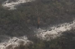 Mades aplicará multa por incendio en el Chaco de hasta 20 mil jornales