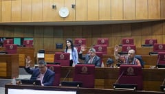 Diputado Jatar Fernández asegura que ONGs buscan desestabilizar la democracia