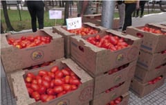 Productos frutihortícolas de contrabando, un riesgo para el consumo