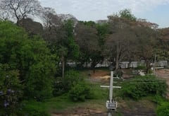 Inicia tala en el “Bosque de San Vicente” pese a protestas