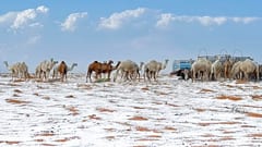 Nevada histórica cubre el desierto de Arabia Saudita