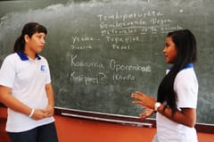 Preocupación por la enseñanza del guaraní en el país