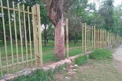 Inseguridad en el Jardín Botánico preocupa a vecinos y visitantes