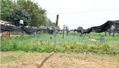 Temporal causa graves daños a productores en Santa Rosa, Misiones