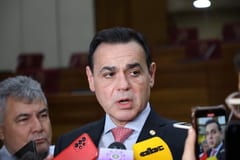 Paraguay evalúa retirar candidatura a OEA por rechazo a ley anti ONG