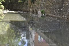 Estudiantes analizan contaminación por frigoríficos en Tablada