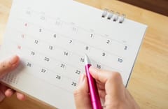 Feriados 2025 en el país: calendario completo de días festivos