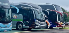 Empresas de transporte irregulares generan alerta en el país