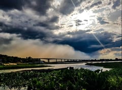 Día cálido con vientos del sur según Meteorología