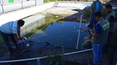 Municipalidad interviene piscina abandonada en Asunción