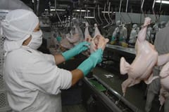 Paraguayans change habits due to high beef prices