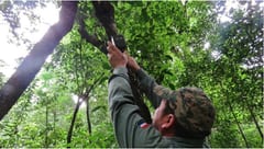 IA impulsa conservación en la Reserva Tapytá de Caazapá